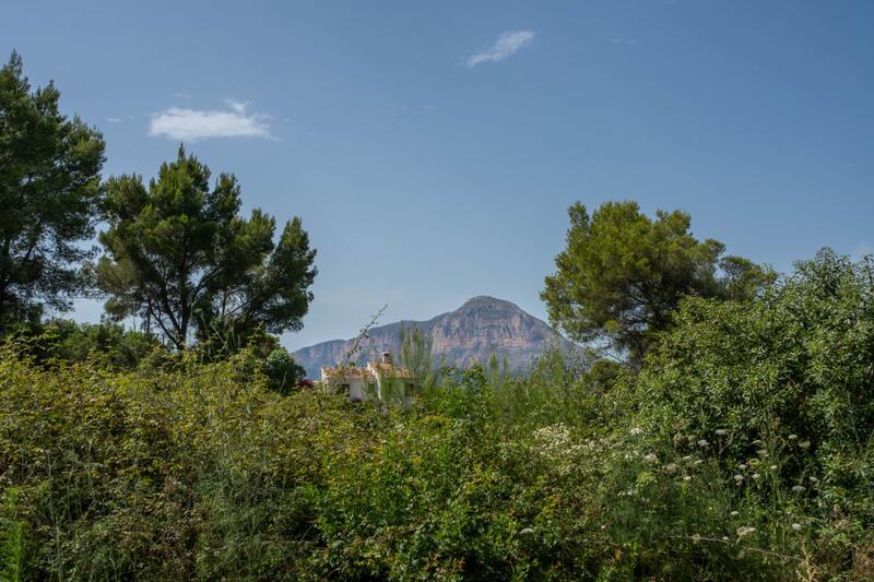 Terrain à vendre dans Javea, Alicante