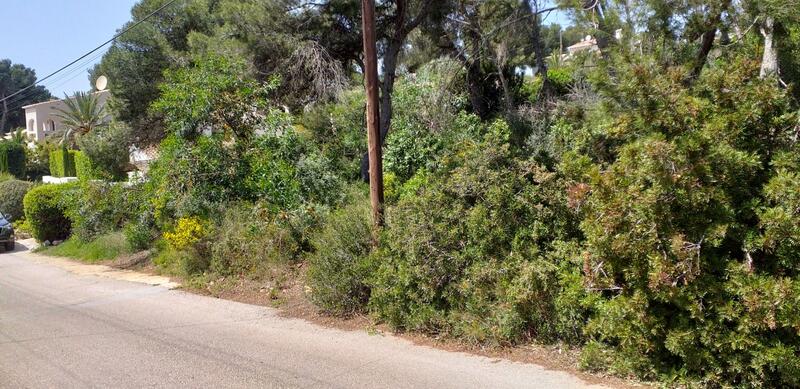 Grundstück zu verkaufen in Javea, Alicante