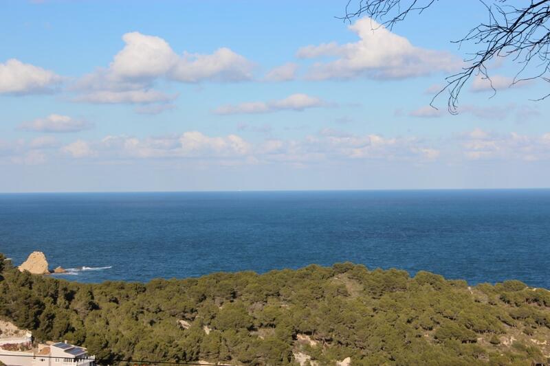 Terrain à vendre dans Javea, Alicante