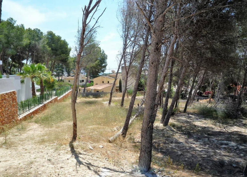 Land for sale in Moraira, Alicante