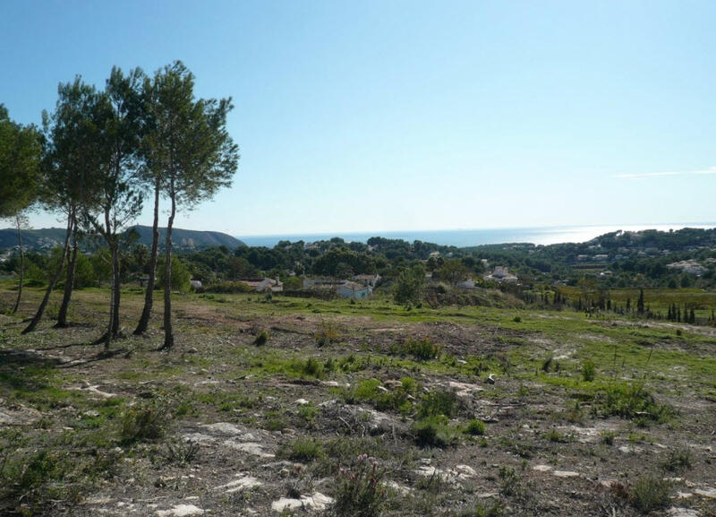 Terrain à vendre