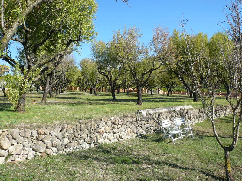 5 chambre Villa à vendre