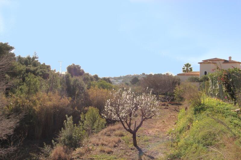 Land for sale in Benissa, Alicante