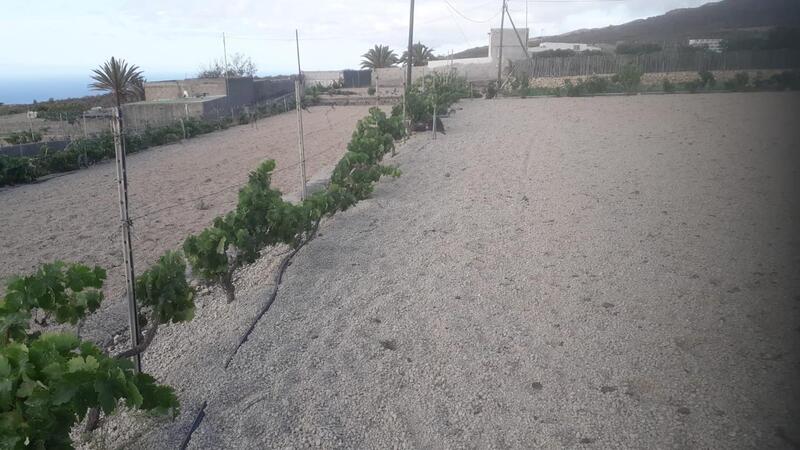 Jord til salg i Poris de Abona, Tenerife