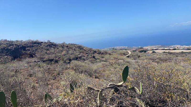 Jord til salg i Guia, Gran Canaria