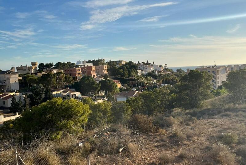 Ander Te koop in Torrevieja, Alicante