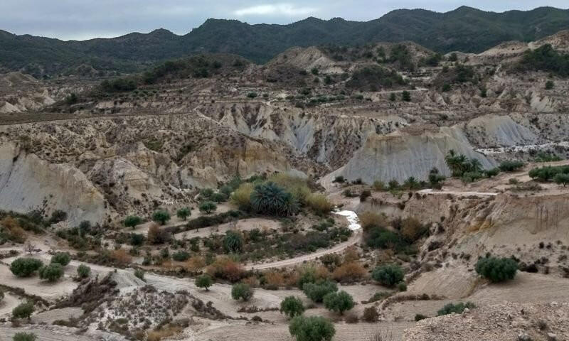 Övrig till salu i Abanilla, Murcia