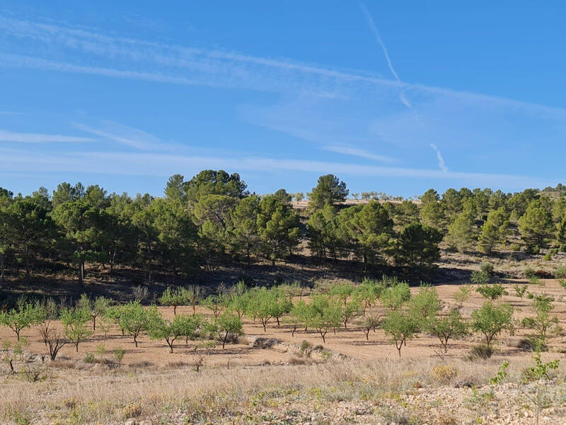 Sonstiges zu verkaufen in Torrevieja, Alicante