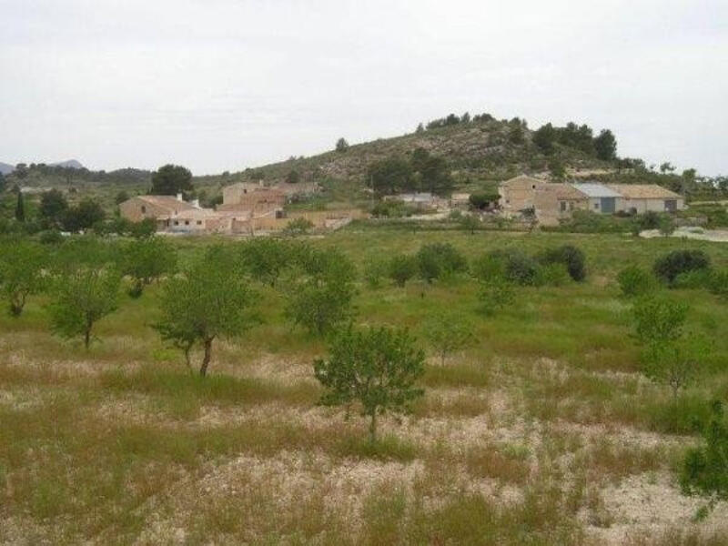 Land for sale