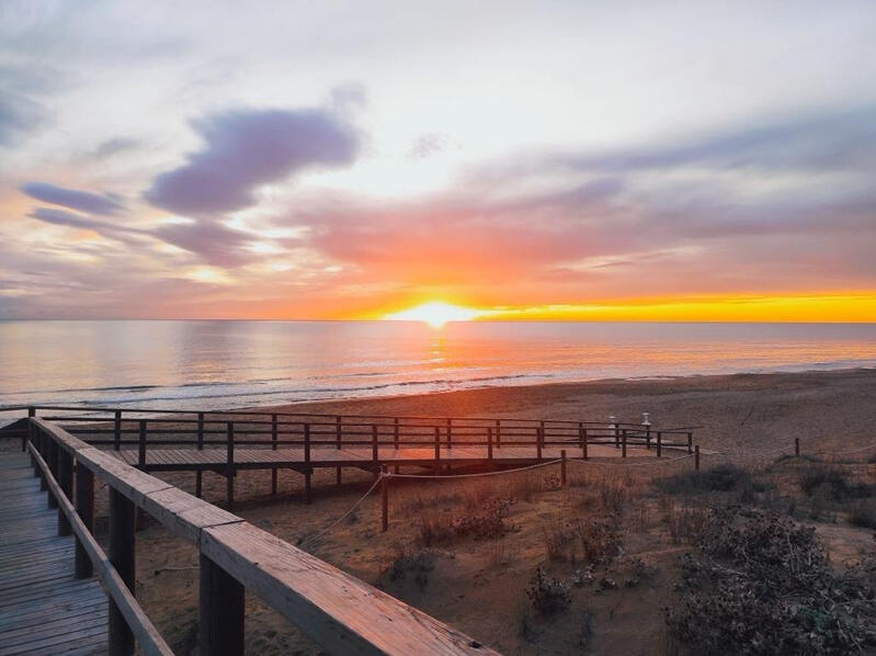 Lägenhet till salu i Torrevieja, Alicante