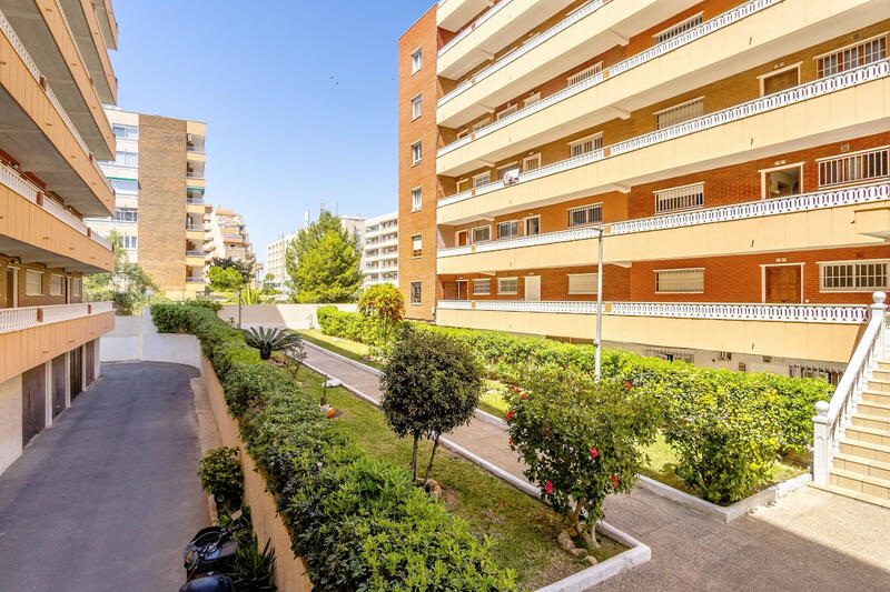 3 Cuarto Apartamento en venta