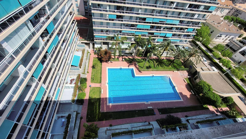 3 Cuarto Apartamento en venta