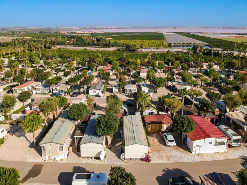 Villa en venta en San Miguel de Salinas, Alicante