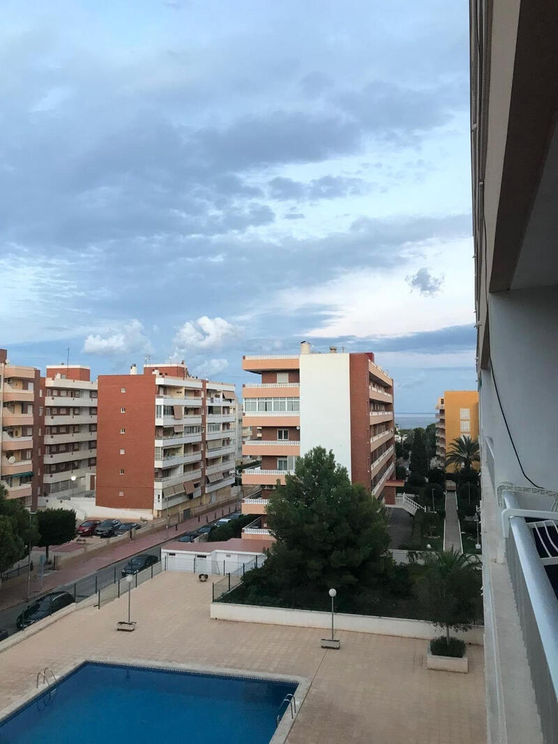 Appartement zu verkaufen in Torrevieja, Alicante