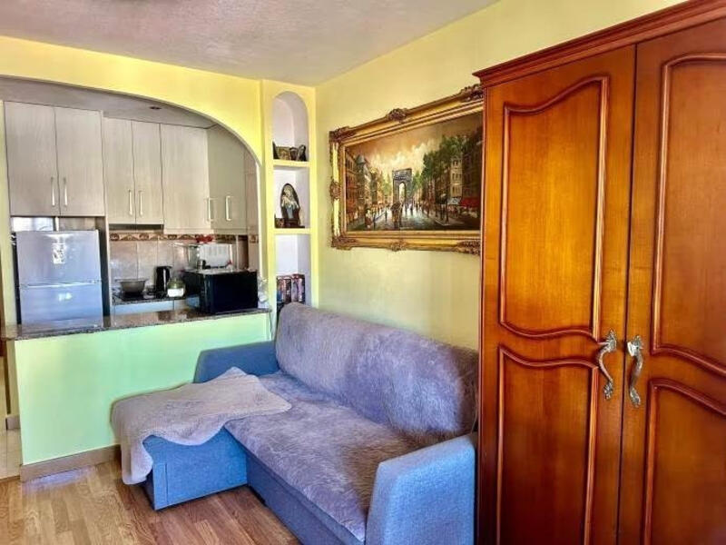 1 slaapkamer Appartement Te koop