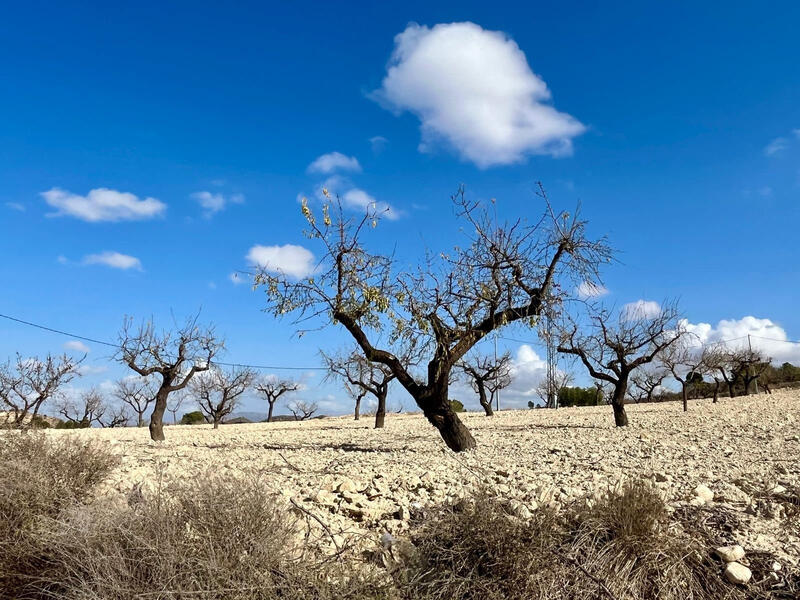 Terrenos en venta