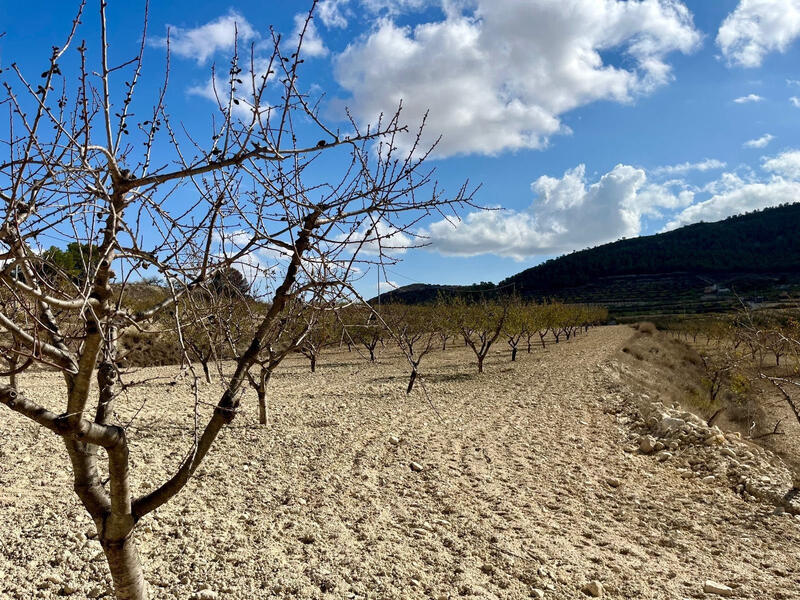 Terrenos en venta