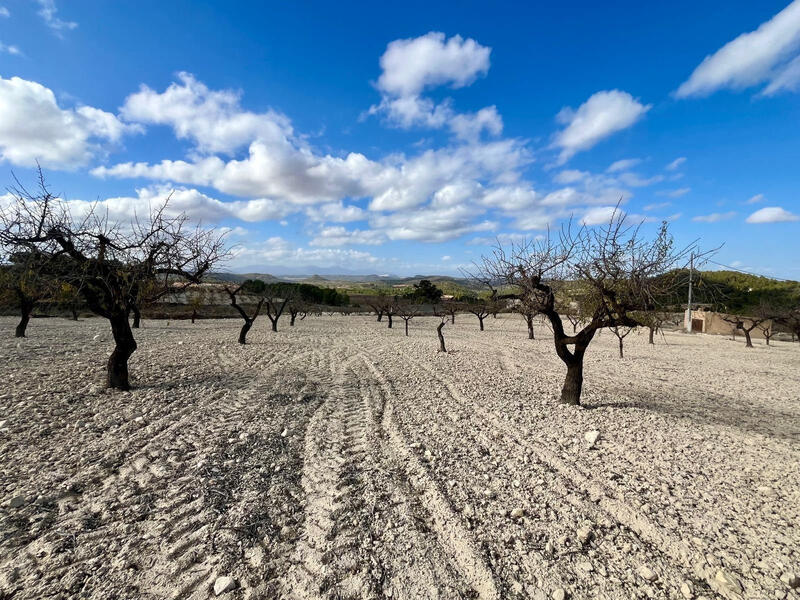 Terrenos en venta