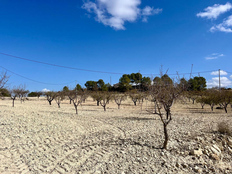 Terrenos en venta