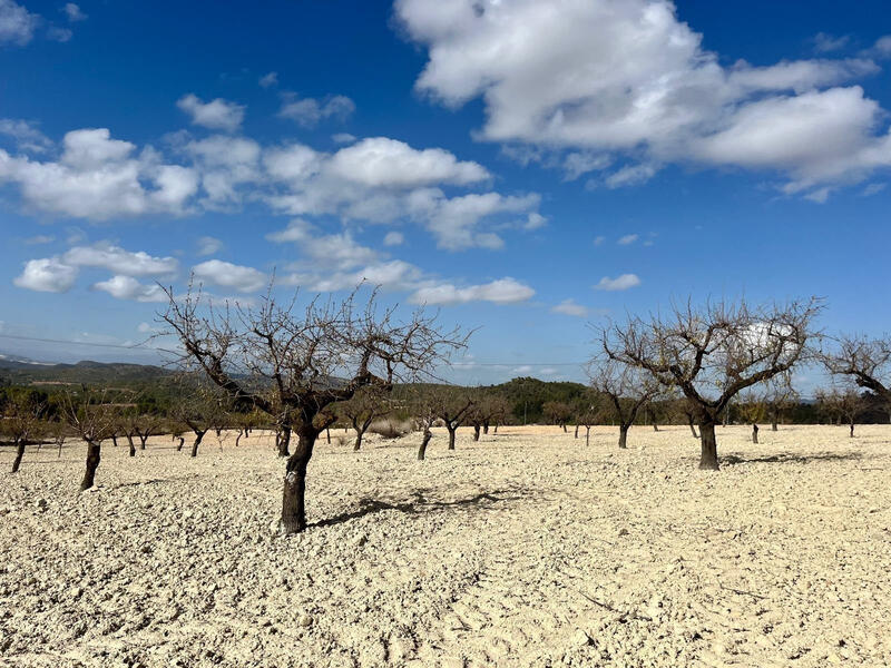 Terrenos en venta