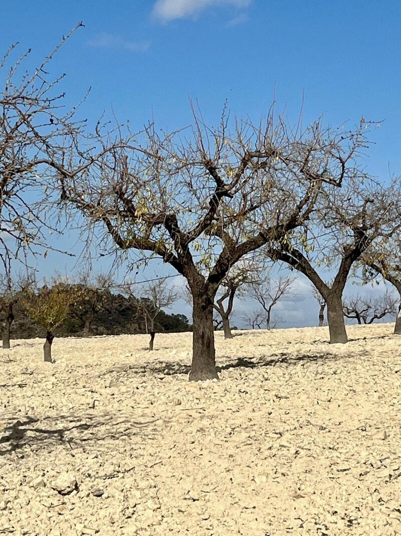 Terrenos en venta