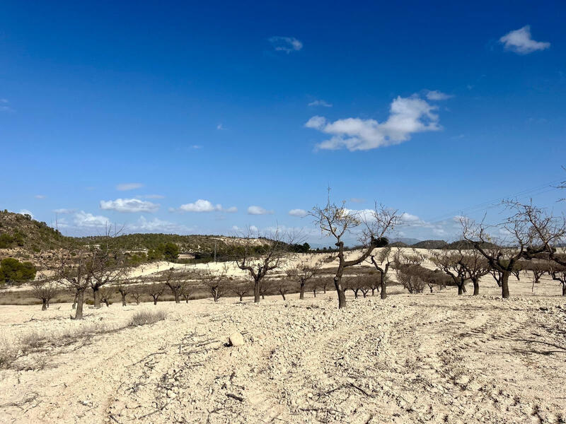 Terrenos en venta