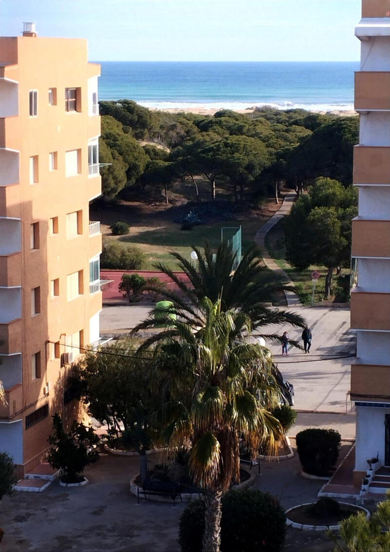 Appartement zu verkaufen in Guardamar del Segura, Alicante