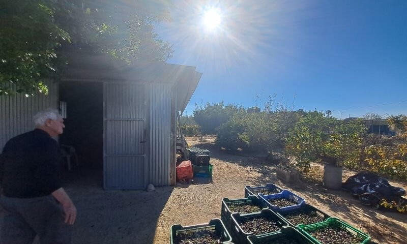 3 slaapkamer Landhuis Te koop