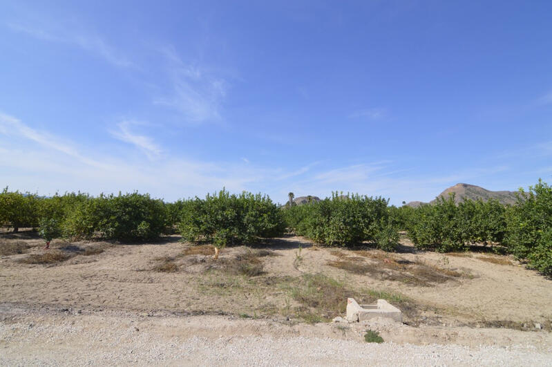 Land for sale in Torrevieja, Alicante