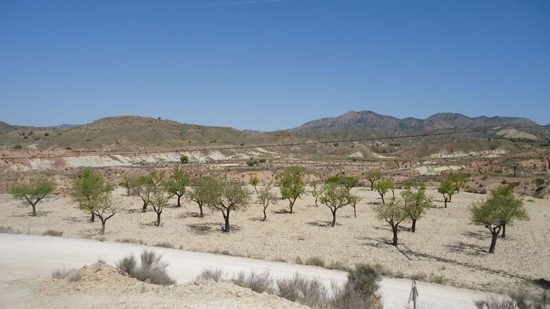 Land for sale in Abanilla, Murcia