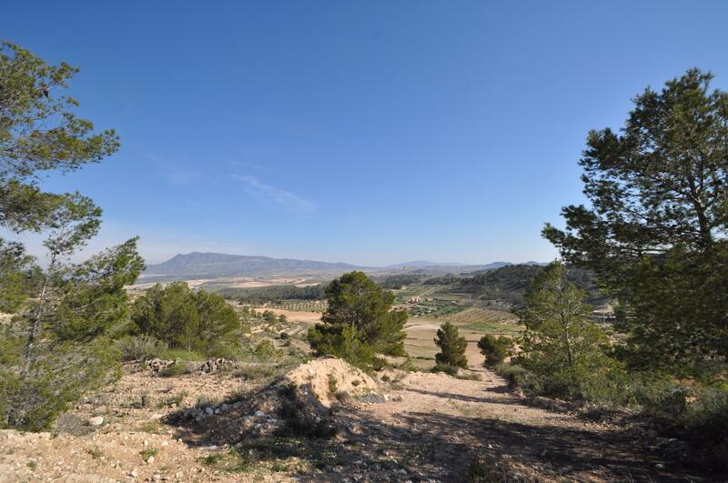 Land Te koop in La Zarza, Murcia