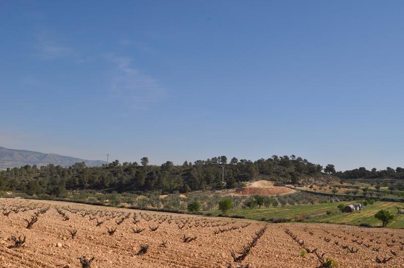 Terrain à vendre dans La Zarza, Murcia