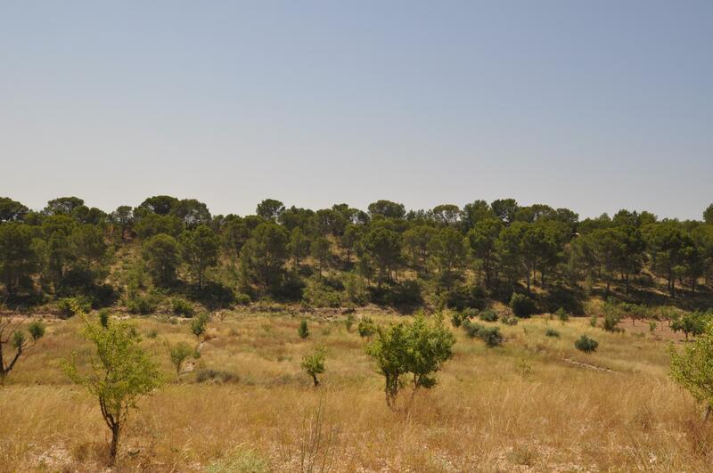 Land Te koop in Raspay, Murcia
