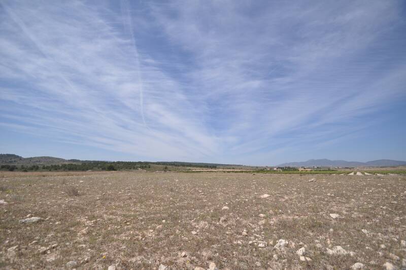 Land Te koop in Pinoso, Alicante
