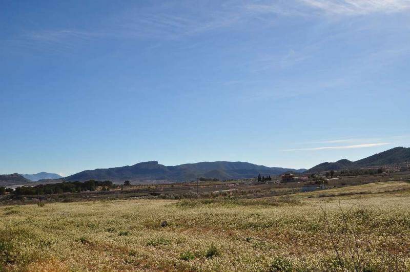 Land Te koop in Chinorlet, Alicante