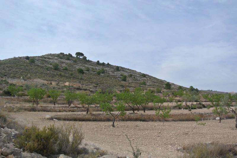 земля продается в Jumilla, Murcia