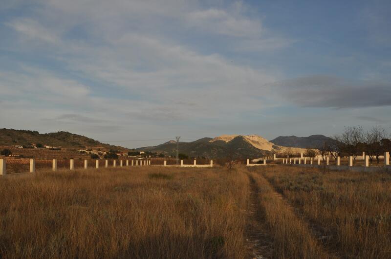 Land Te koop in Cañada de la Lena, Murcia