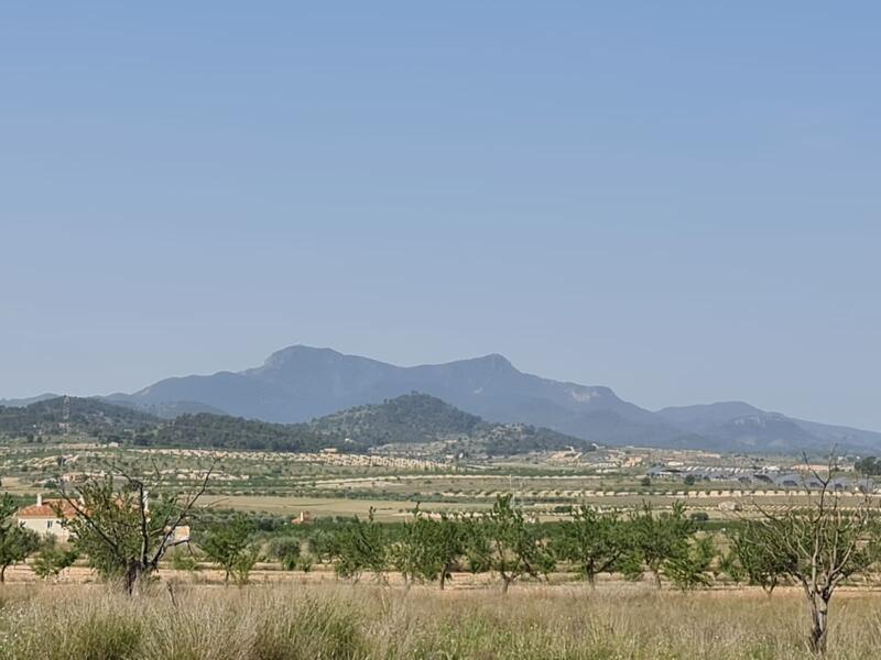 Terrenos en venta