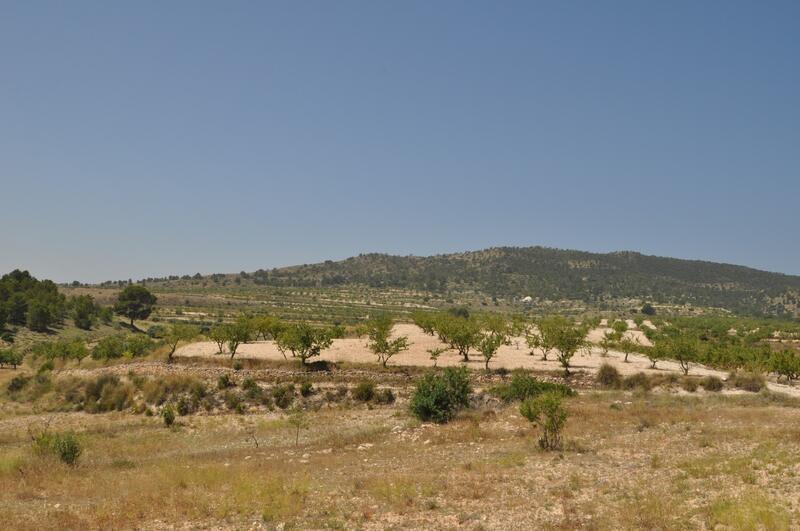 Land Te koop in Raspay, Murcia