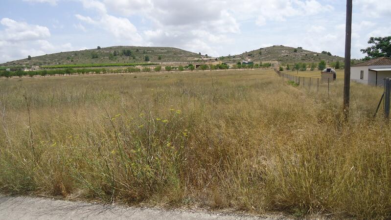 Land Te koop in Jumilla, Murcia