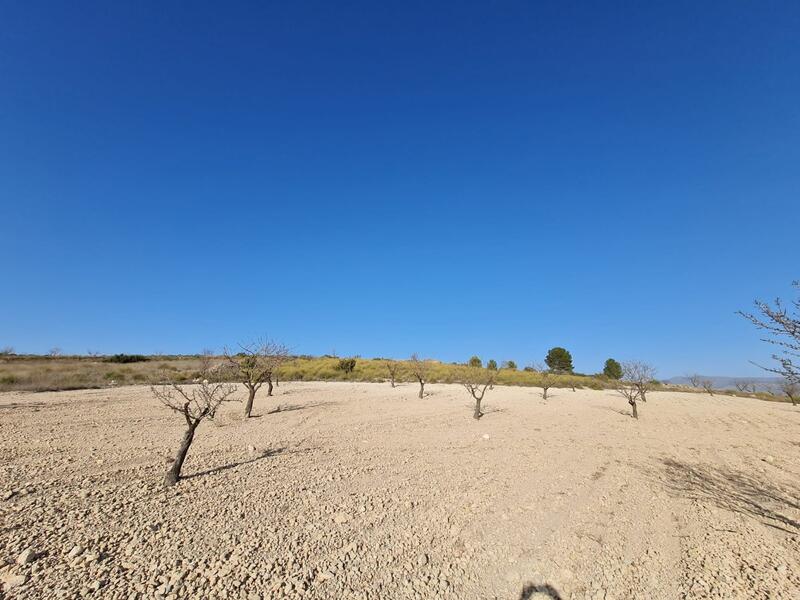 Terrain à vendre