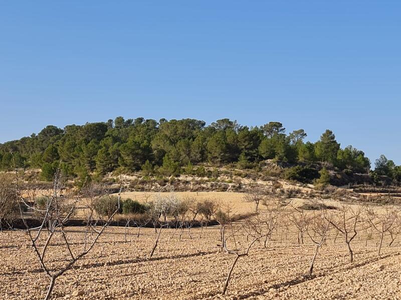 Terrenos en venta