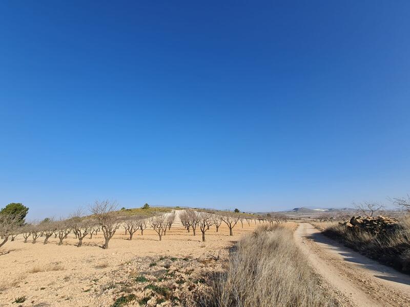 Terrenos en venta