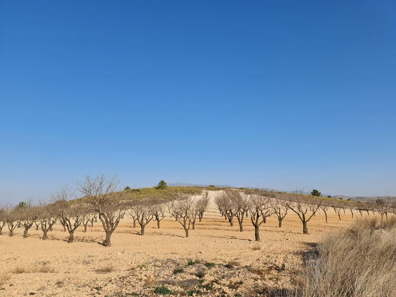 Terrenos en venta