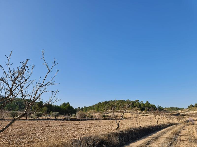 Terrain à vendre