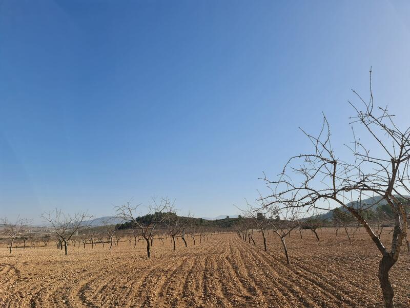 Terrenos en venta