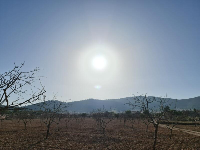 Terrenos en venta