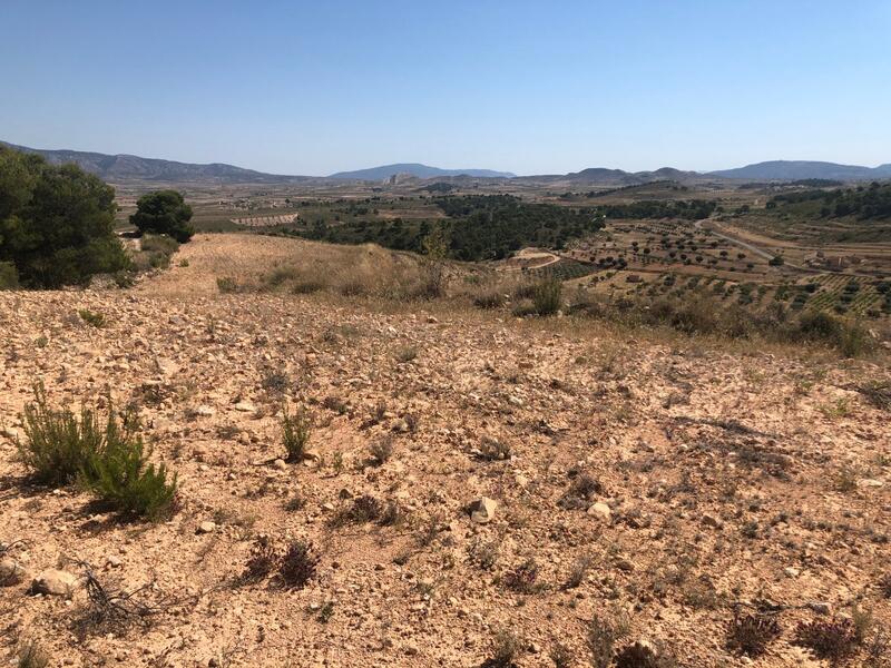 Land for sale in La Zarza, Murcia