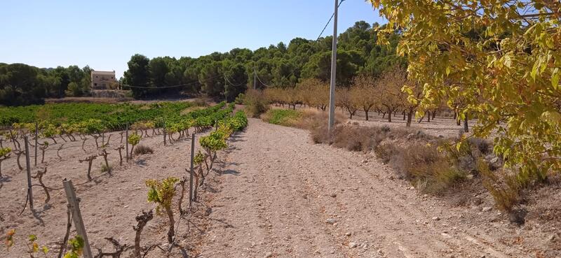 Terrenos en venta