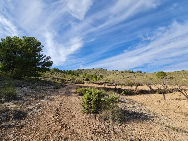 Land for sale in Raspay, Murcia